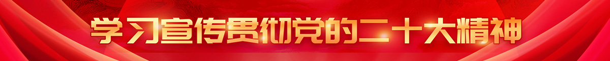 学习宣传贯彻党的二十大精神