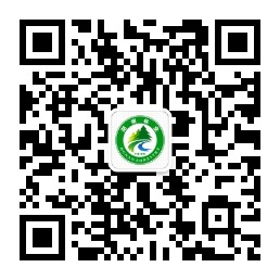 微信