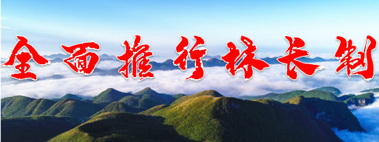 全面推行林长制