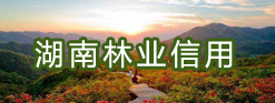 湖南林业信用