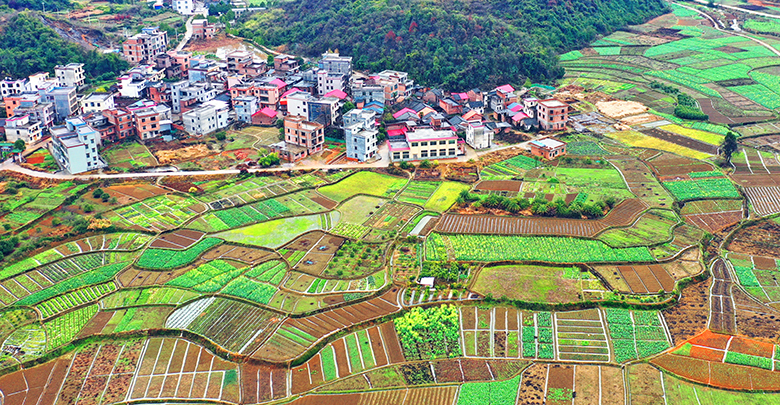 春回大地乡村美